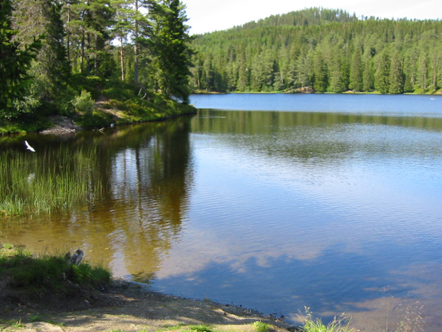 Lake view