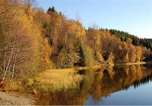 Lake view