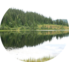 Bymarka trail