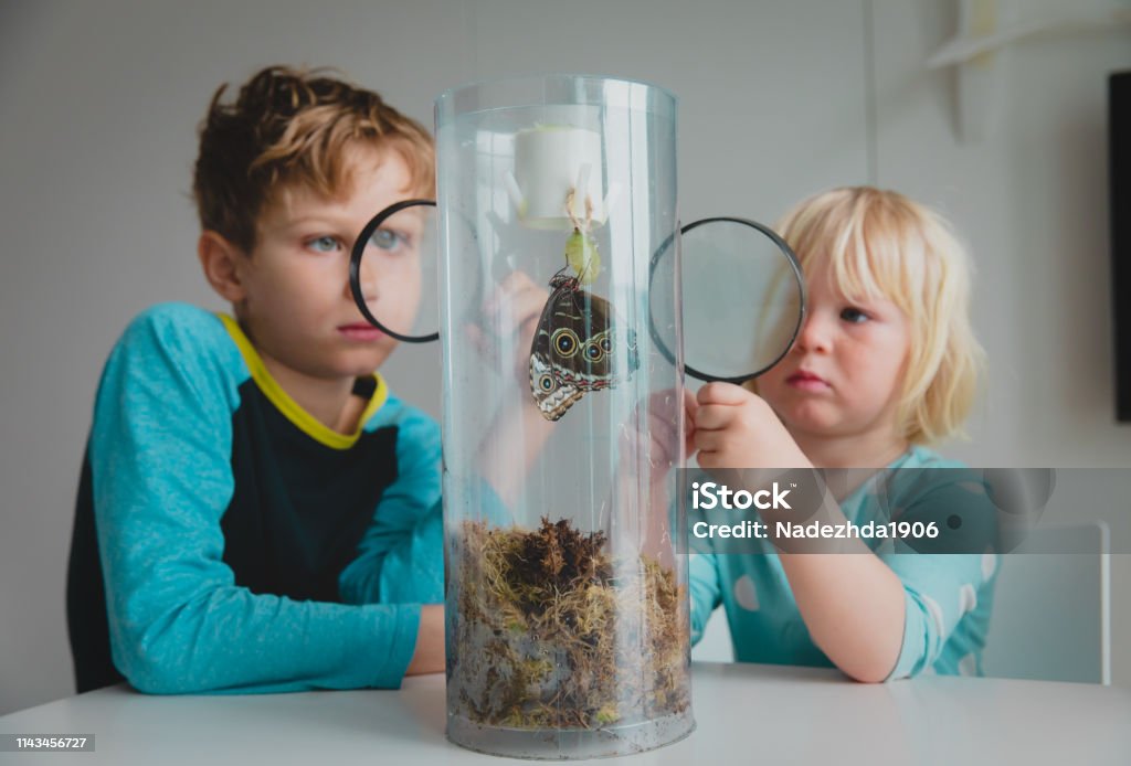 Diverse private school classmates chemistry experiment.