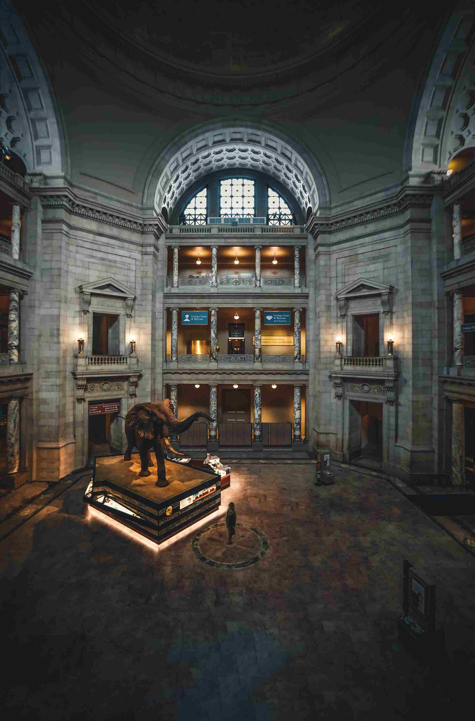 Night view of meuseum with lighting.