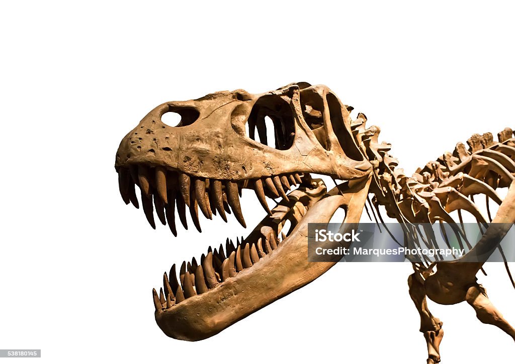 Evolution of Dinosure